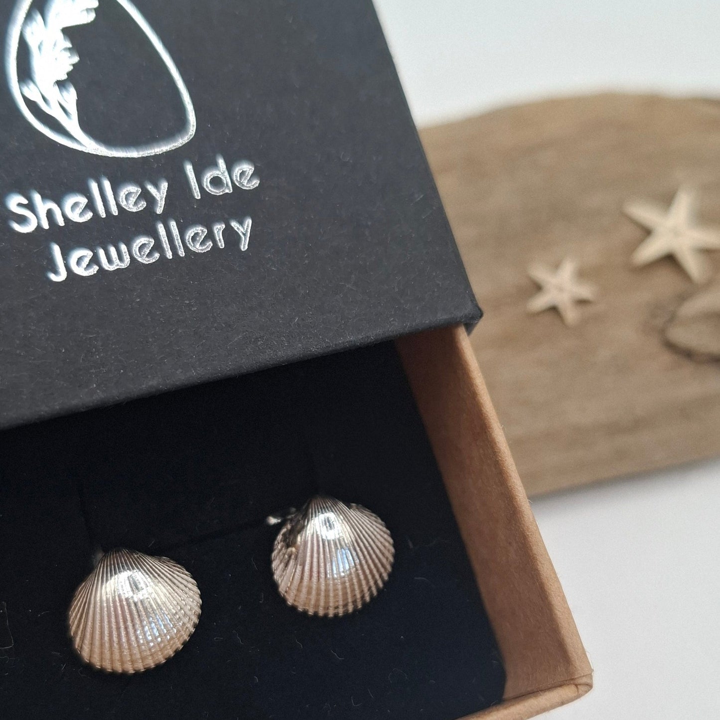 Silver cockle shell stud earrings by Shelley Ide Jewellery, featuring detailed shell design and a polished finish.