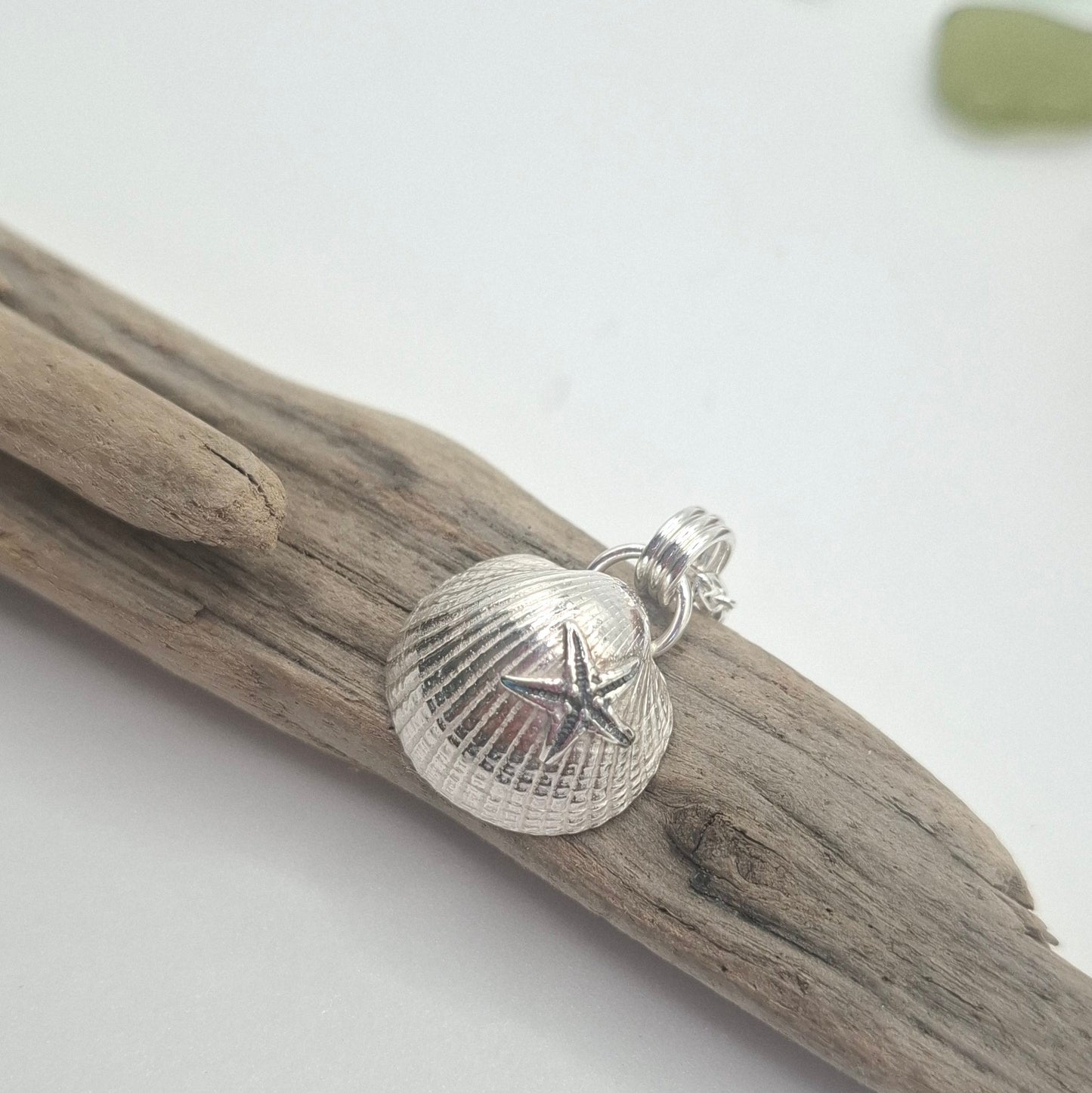 Silver shell pendant on a branch with a white background