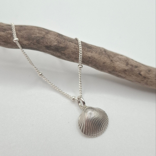 Small Silver Clam Necklace