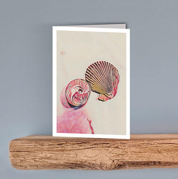 A vintage style print on a blank greeting card of a clam shell and a pink coloured winkle shell on a cream background.