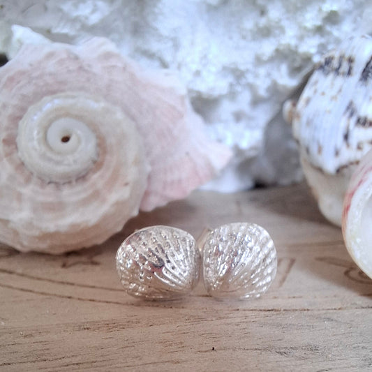Silver Scallop Shell Studs