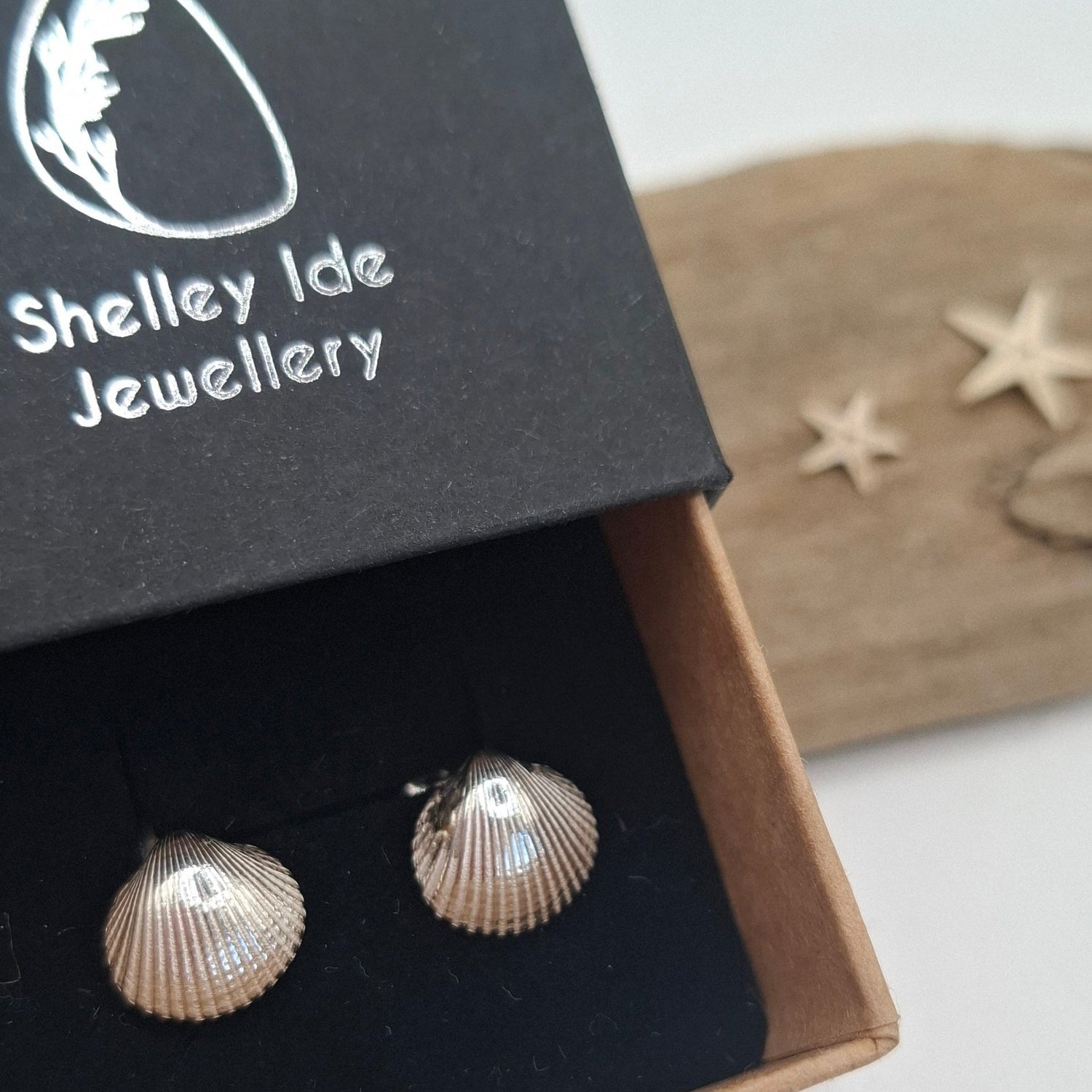 Shells & Seafoam