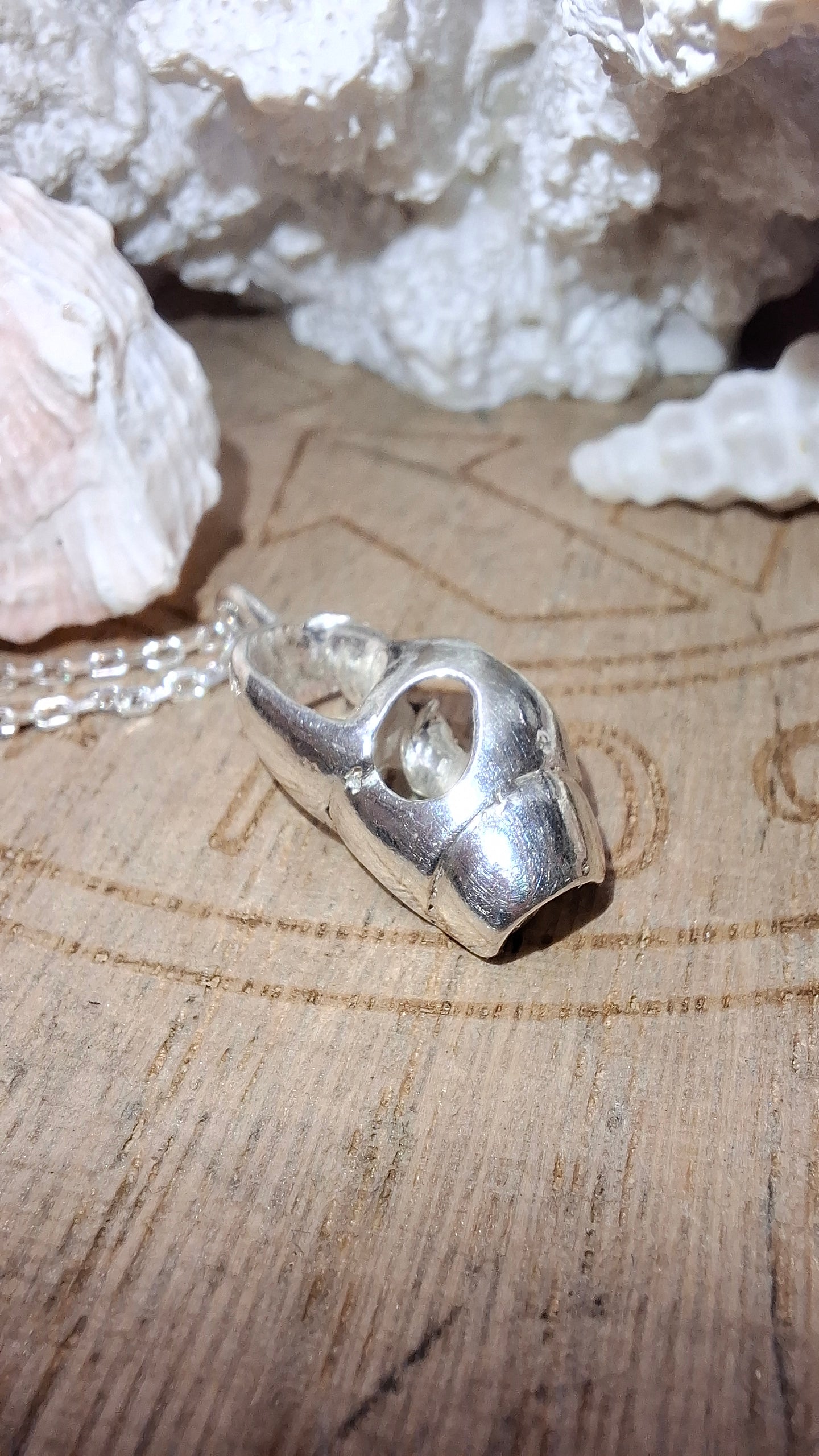 Cast silver seashell pendant with necklace