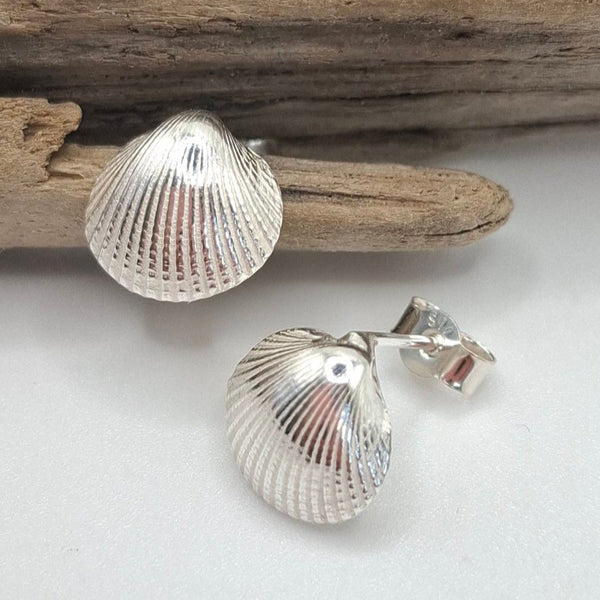 Silver cockle shell earrings by Shelley Ide Jewellery, featuring detailed, shiny shell stud designs for a coastal-inspired look.