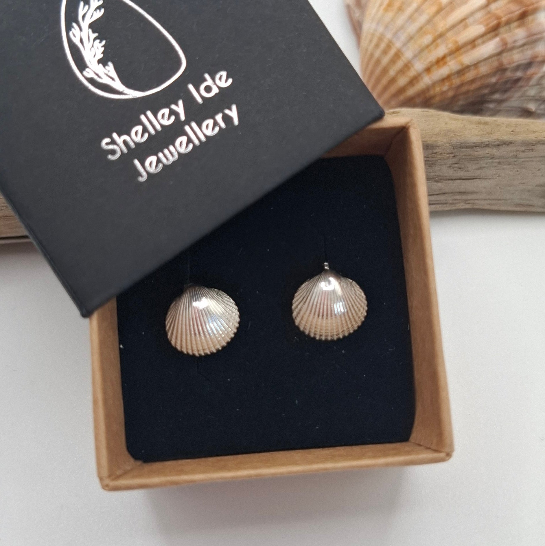 Silver clam shell studs | Ocean-Inspired Handmade Jewellery