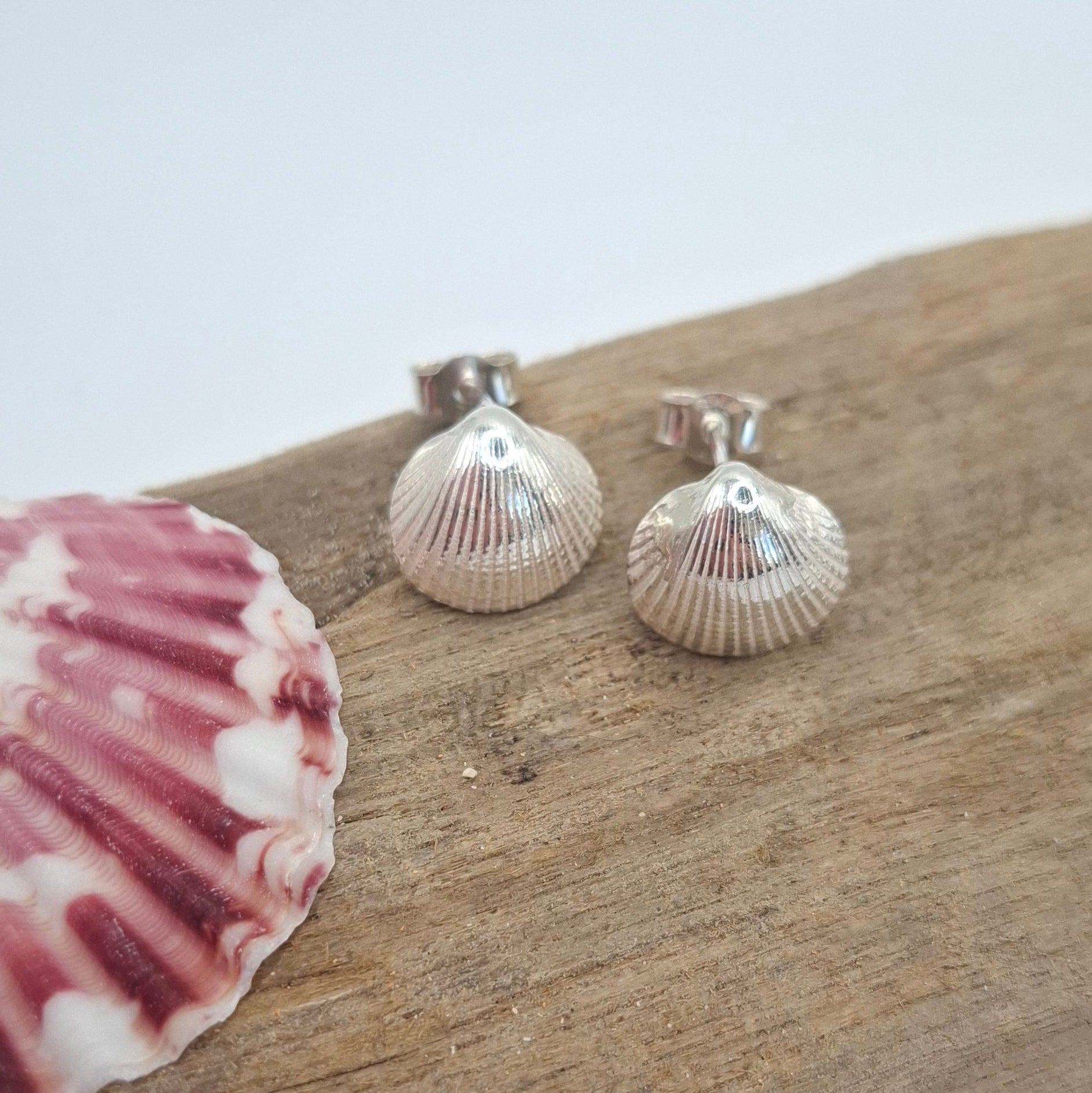 Silver cockle shell studs | Ocean-Inspired Handmade Jewellery