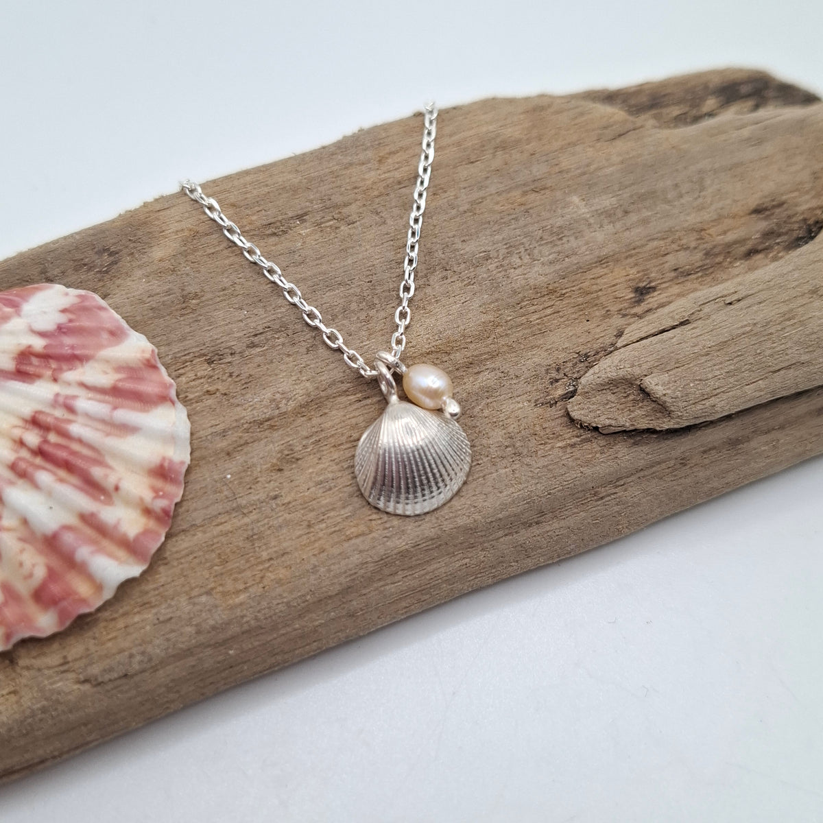 A silver chain necklace with a small shell pendant and a pearl accent, displayed on a piece of driftwood with a pink-and-white seashell prop.