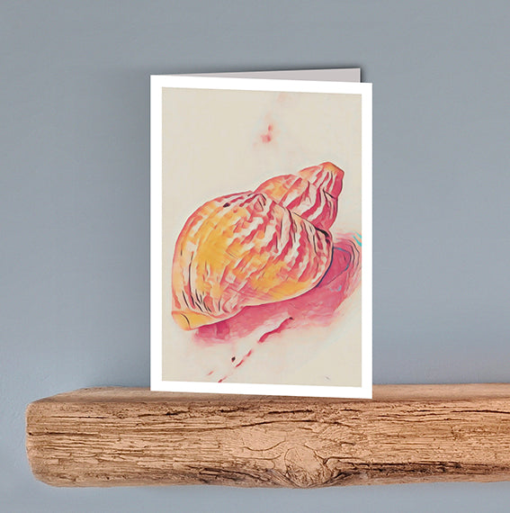 A vintage style print on a blank greeting card of a large whelk shell on a cream background.