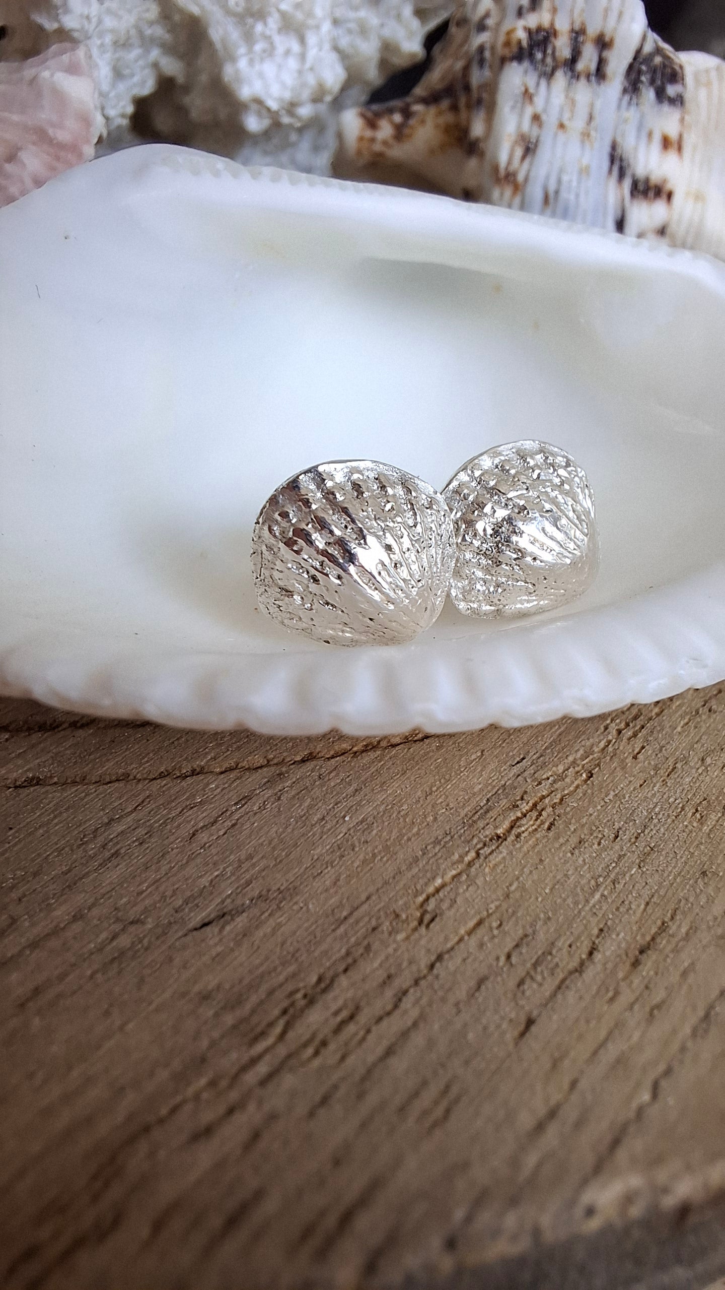 Silver Scallop Shell Studs