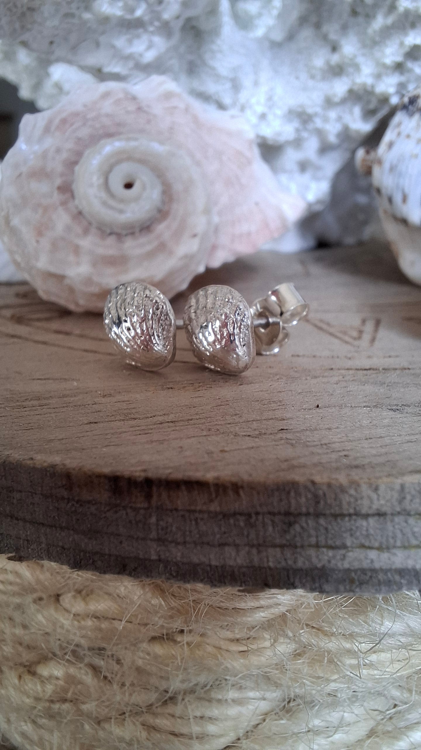 Silver Scallop Shell Studs